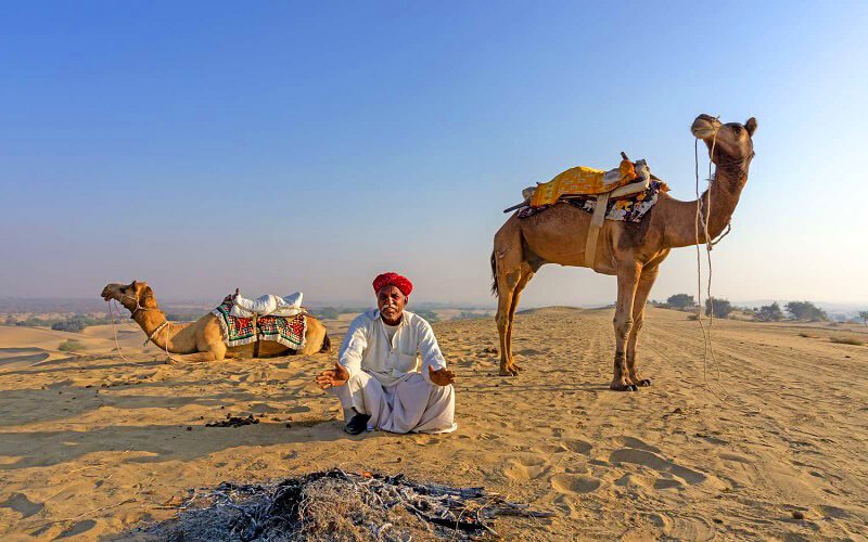 Backpacker Solo Camel Safari